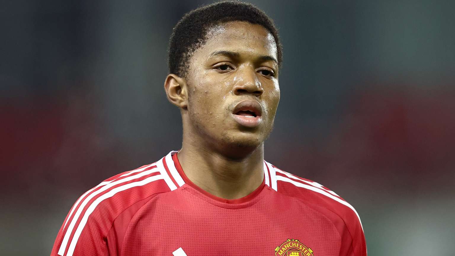 若日尼奧的 若日尼奧的